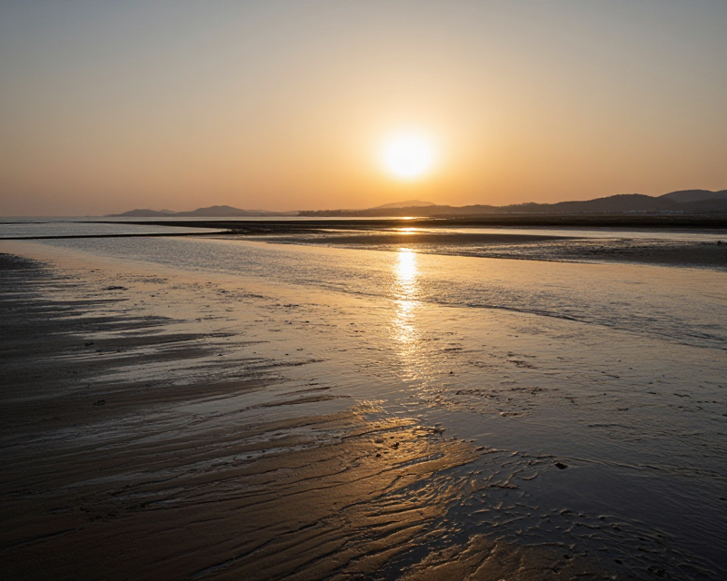 Serene Korean Tidal Flats at Sunset